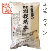 ミルキークイーン